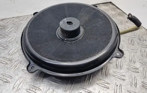 Front door speaker