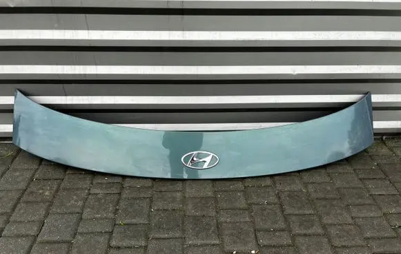 Hyundai Ioniq 5 Truck tailgate 87310