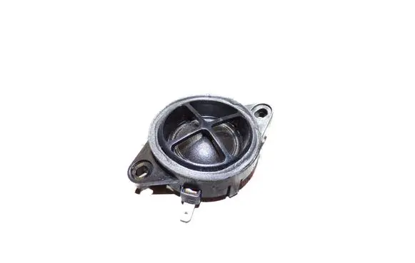 Front door high frequency speaker