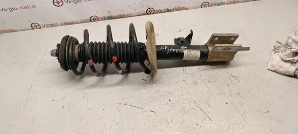 Citroen Berlingo Front shock absorber/damper 9684108680 824904003913 1381810
