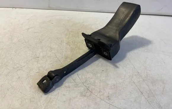 Porsche Taycan 9J1 Rear door check strap stopper 9J1839179