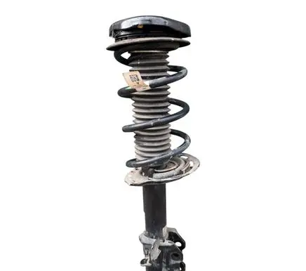 Front shock absorber with coil spring