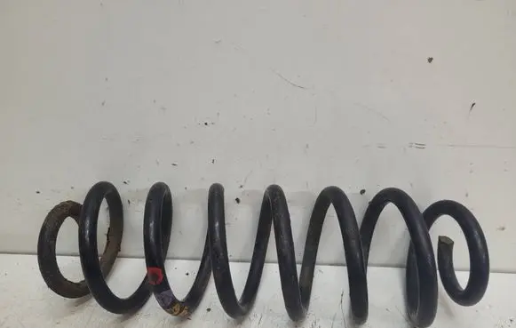 Volkswagen PASSAT B6 Rear coil spring