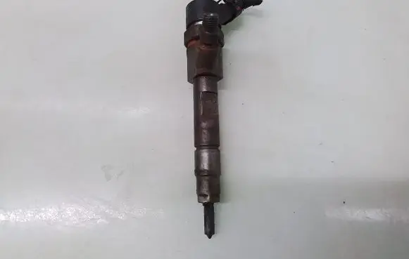 Renault Scenic II - Grand scenic II Fuel injector 0445110021
