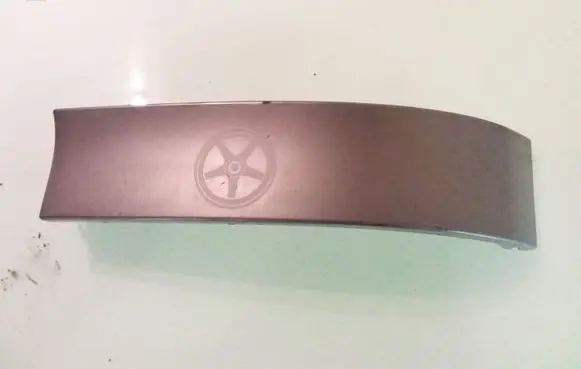 Rear/tail light trim molding