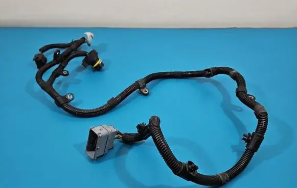Maserati Quattroporte Other wiring loom 06700074010 IMPRK1535394