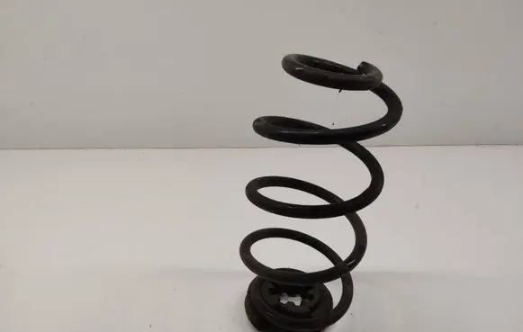 Rear coil spring