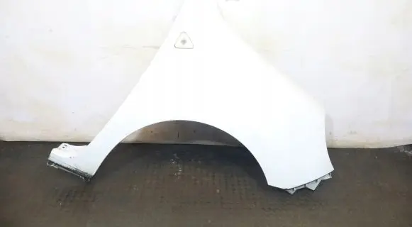Renault Kangoo II Fender