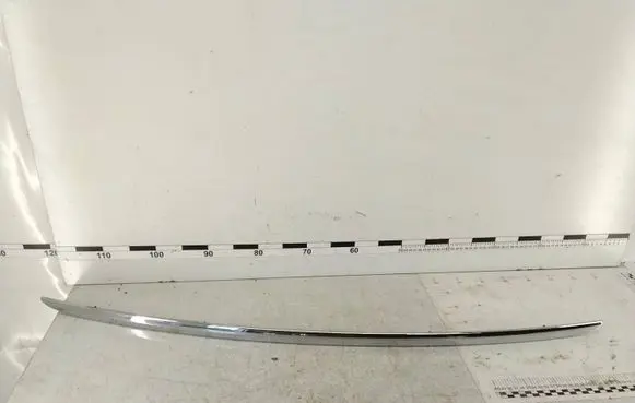 Volkswagen PASSAT B6 Rear door trim (molding) 