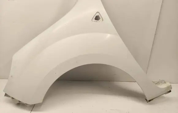 Renault Kangoo II Fender 631010288R