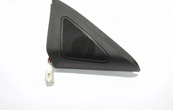Rear door speaker