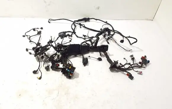 Audi A3 8Y Other wiring loom 8Y0974244