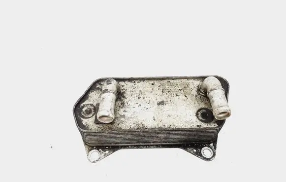 Volkswagen Touran II Oil filter mounting bracket 02E409061