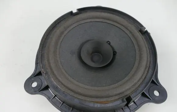 Nissan Pathfinder R51 Rear door speaker