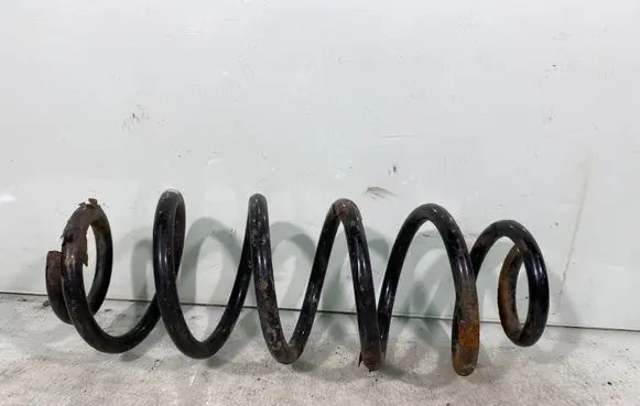 Rear coil spring