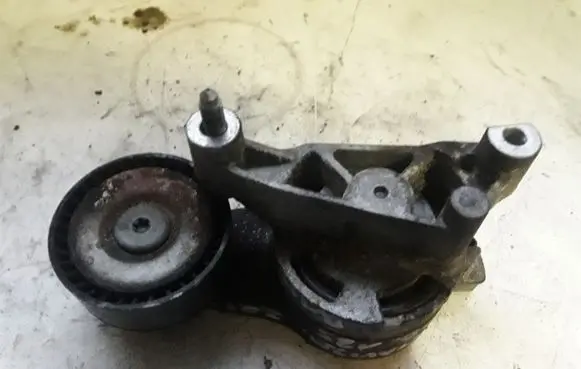 Skoda Octavia Mk2 (1Z) Generator/alternator belt tensioner