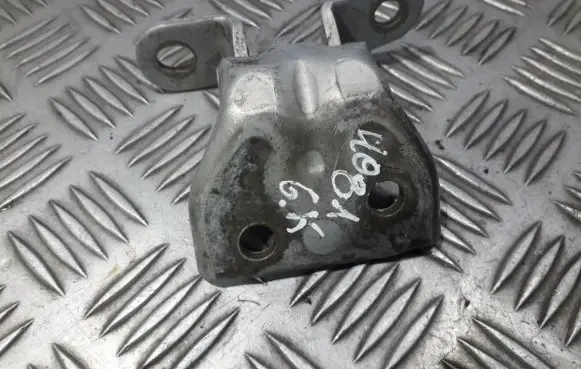 Hyundai Matrix Rear door lower hinge