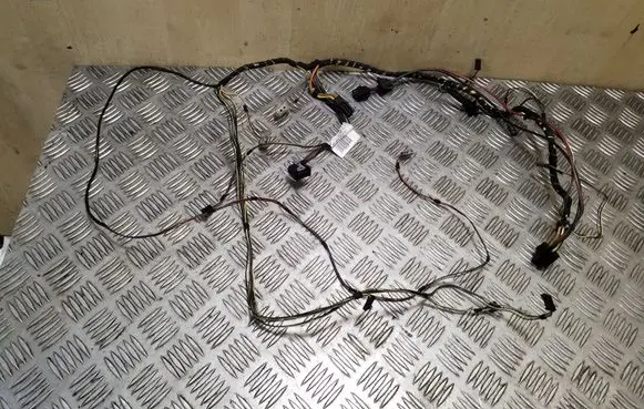 BMW X5 E53 Other wiring loom 6972106