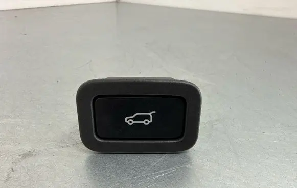Land Rover Range Rover Sport L494 Tailgate/trunk/boot open switch 31412055AA