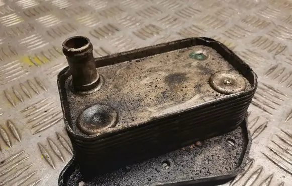 Mercedes-Benz S W220 Gearbox / Transmission oil cooler 6131880201