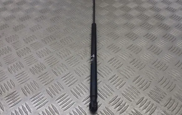 Citroen C1 Tailgate hydraulic set 689500H020
