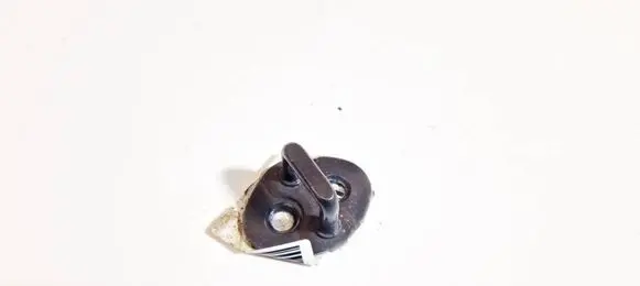 Hyundai Santa Fe Rear door lock loop/hook striker 