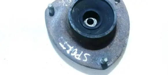 Coil spring mount