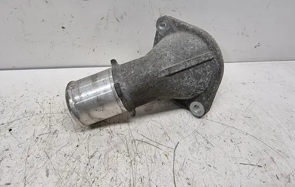 Thermostat/thermostat housing