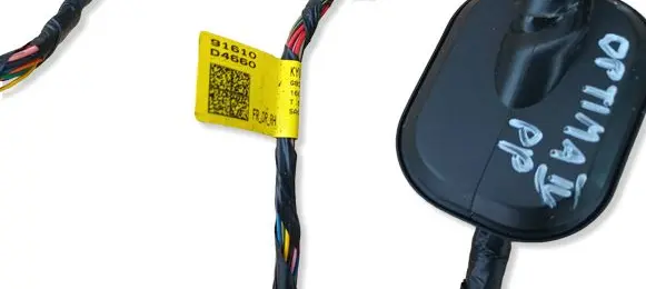 Hyundai i30 Front door wiring loom/harness boot 91610G4660