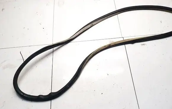 Citroen C5 Rubber seal front coupe door 