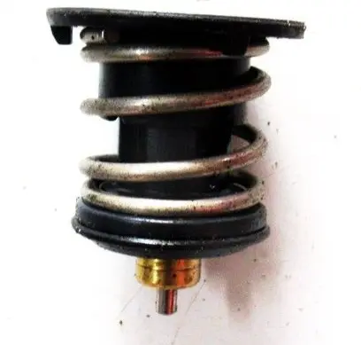 Thermostat/thermostat housing