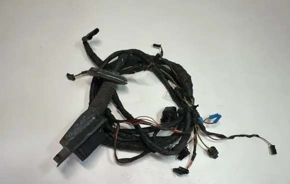 BMW 5 F10 F11 Front door wiring loom 9273444 9282072 61129282072