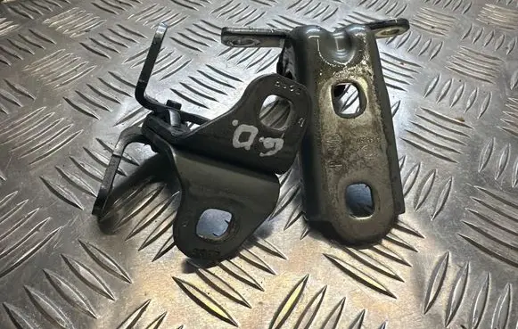 Opel Insignia A Rear door lower hinge P18143