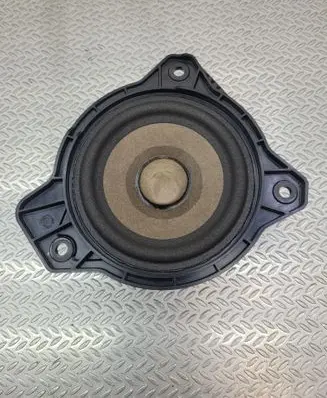 Polestar 2 Panel speaker 31456871