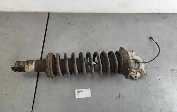 Maserati Quattroporte Rear shock absorber/damper 202960