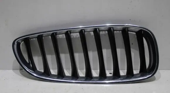BMW Z4 E89 Front bumper upper radiator grill 10627110