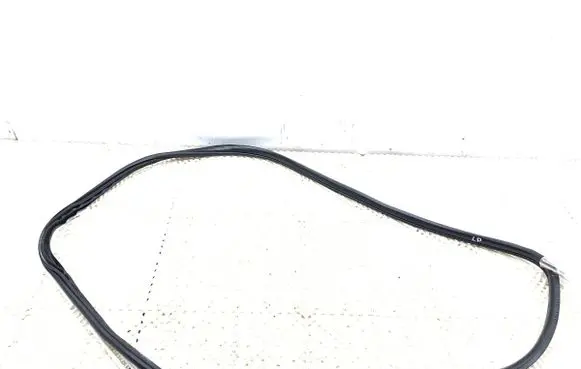 BMW 2 F45 Rubber seal front door (on door)