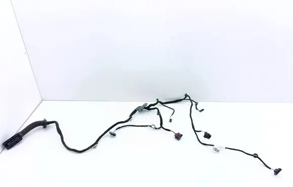 Volkswagen Atlas Rear door wiring loom 3CN971693N