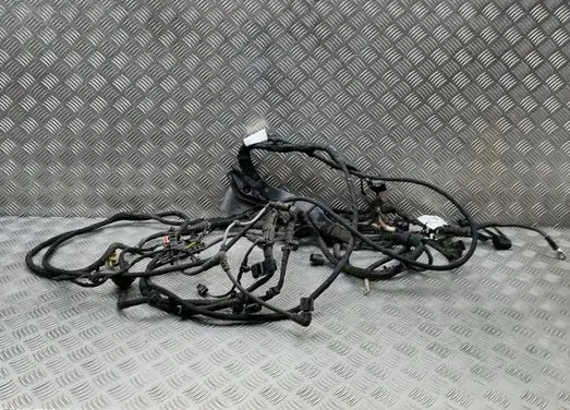Skoda Enyaq iV Other wiring loom 2348488051