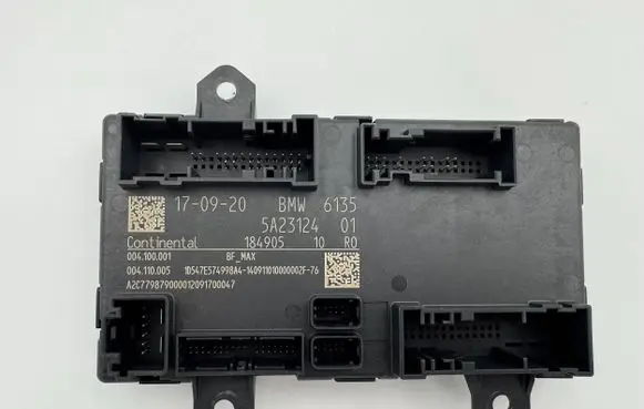 BMW iX Door control unit/module 5A23124