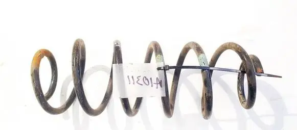 Rear coil spring