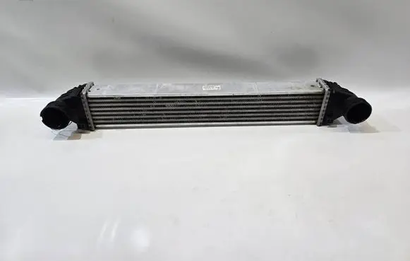 Mercedes-Benz B W245 Intercooler radiator A1695000000