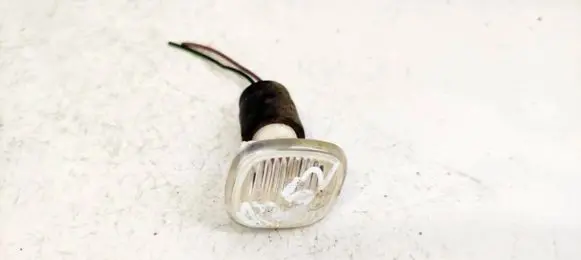 Front fender indicator light