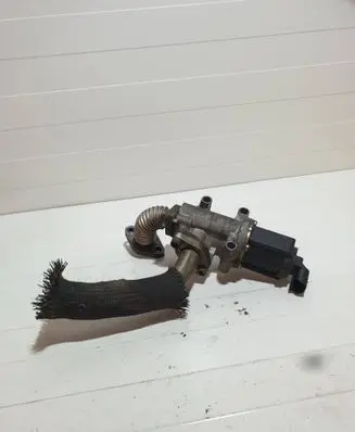 Opel Zafira B EGR valve 50024005