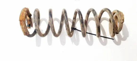 Rear coil spring