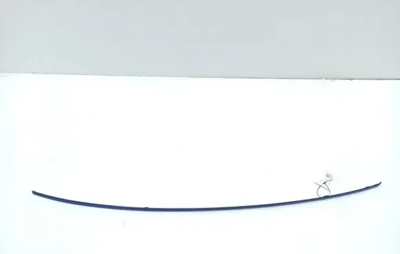 Roof trim bar molding cover