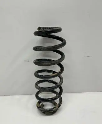 Volkswagen PASSAT B6 Rear coil spring