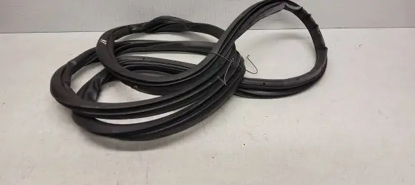 Fiat Bravo Front door rubber seal