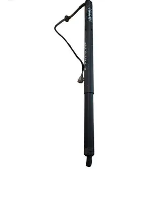 Tailgate/trunk strut/damper