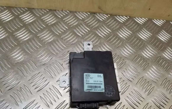 KIA Sorento Other control units/modules 954003E310
